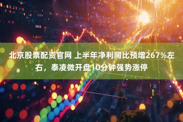 北京股票配资官网 上半年净利同比预增267%左右，泰凌微开盘10分钟强势涨停
