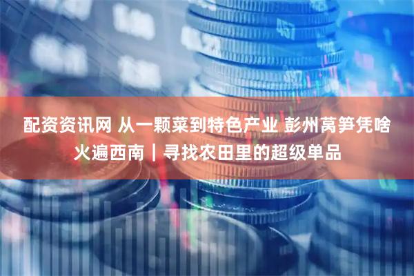 配资资讯网 从一颗菜到特色产业 彭州莴笋凭啥火遍西南｜寻找农田里的超级单品