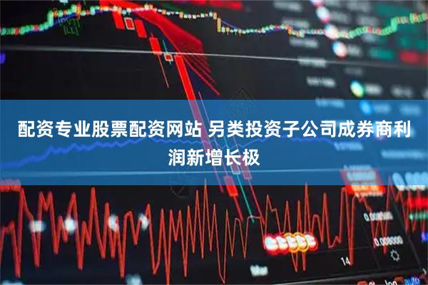 配资专业股票配资网站 另类投资子公司成券商利润新增长极